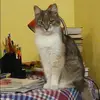 Отзыв от Римма Быкова